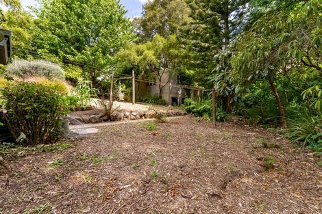 Photo of property in 26 Braeview Crescent, Maori Hill, Dunedin, 9010