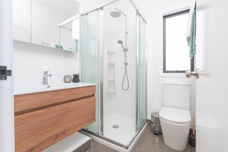 Photo of property in 29b Southgate Road, Southgate, Wellington, 6023