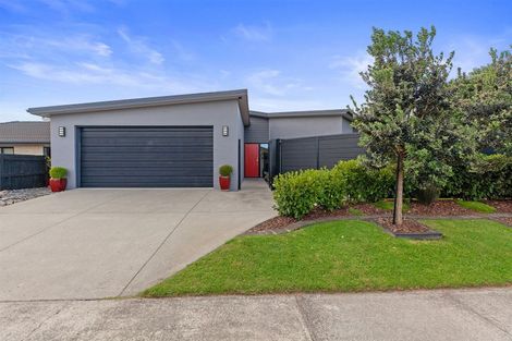 Photo of property in 305 Carmichael Road, Brookfield, Tauranga, 3110
