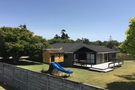 Photo of property in 57 Waimarie Road, Whenuapai, Auckland, 0618