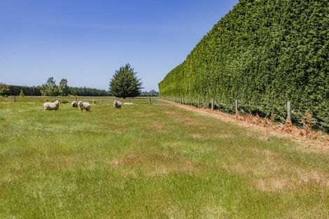 Photo of property in 2925 South Eyre Road, Eyrewell, Rangiora, 7476