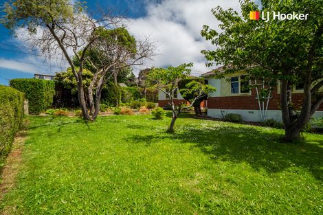 Photo of property in 29 Chapman Street, Wakari, Dunedin, 9010