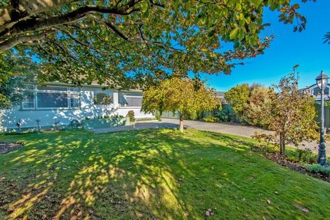 Photo of property in 12 Saint Albans Avenue, Hokowhitu, Palmerston North, 4410