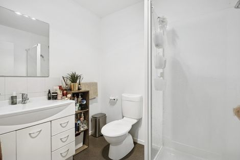 Photo of property in 213 Somerville Street, Shiel Hill, Dunedin, 9013