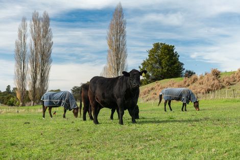 Photo of property in 357 Maungarangi Road, Paengaroa, Te Puke, 3189