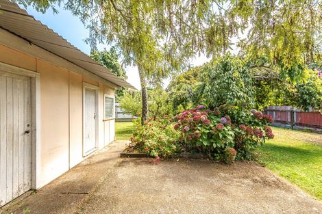 Photo of property in 28 Rimu Street, Gonville, Whanganui, 4501