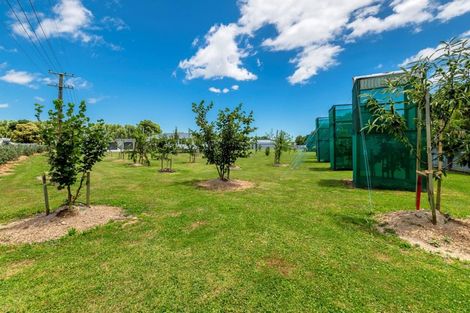 Photo of property in 15a Bovis Street, Shannon, 4821