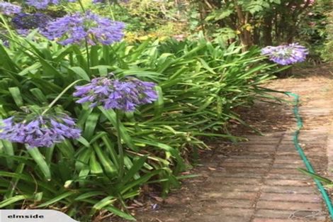 Photo of property in 20 Ocean View Terrace, Sumner, Christchurch, 8081