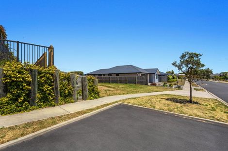 Photo of property in 6 Takahe Close, Coastlands, Whakatane, 3120