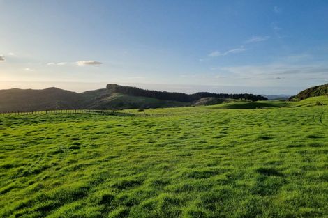 Photo of property in 165 Kereru Road, Glen Massey, Ngaruawahia, 3794