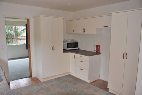 Photo of property in 13 Noel Williams Place, Windsor Park, Auckland, 0630