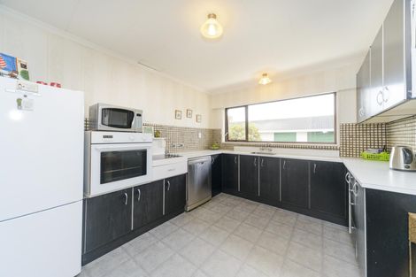 Photo of property in 111 College Street, Awapuni, Palmerston North, 4412