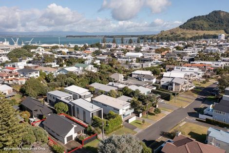 Photo of property in 44 Te Ngaio Road, Mount Maunganui, 3116
