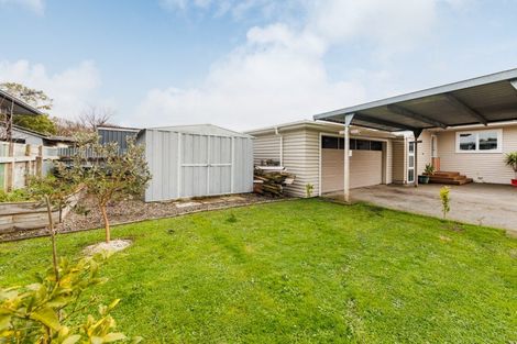 Photo of property in 38 Liverpool Street, Takaro, Palmerston North, 4412