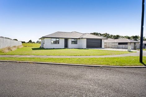 Photo of property in 24 Bianca Crescent, Stratford, 4332