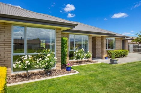 Photo of property in 28 Nikau Drive, Redwoodtown, Blenheim, 7201
