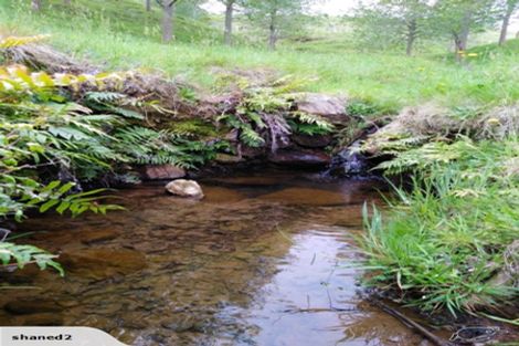 Photo of property in 225 Ngatitangata Road, Waihi, 3681