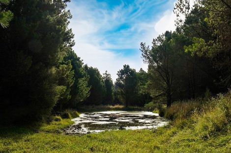 Photo of property in 2/298 Bealey Avenue, Christchurch Central, Christchurch, 8013