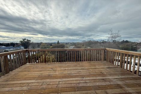 Photo of property in 99 Pembroke Street, Hamilton Lake, Hamilton, 3204