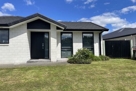 Photo of property in 60 Pakanga Grove, Pyes Pa, Tauranga, 3112
