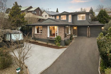 Photo of property in 4 Epsom Place, Chartwell, Hamilton, 3210
