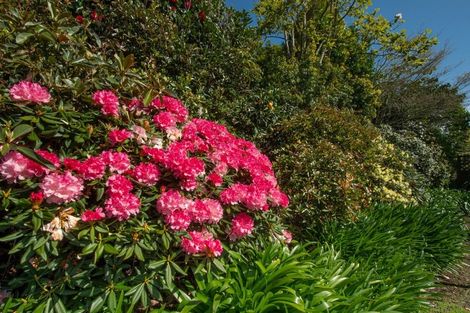 Photo of property in 61 Westridge Drive, Tauriko, Tauranga, 3110