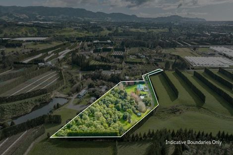 Photo of property in 51 Lund Road, Aongatete, Katikati, 3178