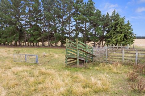 Photo of property in 317 Innes Road, Glasnevin, Amberley, 7482