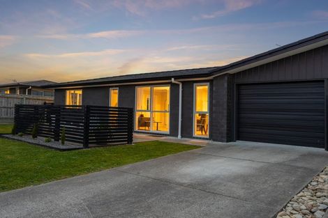 Photo of property in 87 Hinemoa Street, Levin, 5510