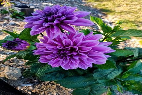 Photo of property in 33a Kenneth Gillies Way, Birchville, Upper Hutt, 5372