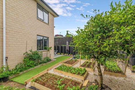 Photo of property in 29a Matai Street, Waiuku, 2123