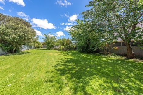 Photo of property in 20 Kells Avenue, Aramoho, Whanganui, 4500