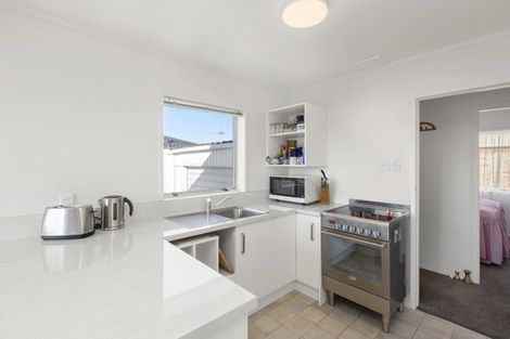 Photo of property in 25 Maple Avenue, Dinsdale, Hamilton, 3200