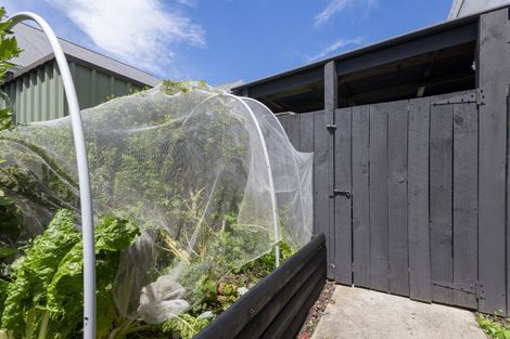 Photo of property in 136 Fox Street, Whataupoko, Gisborne, 4010