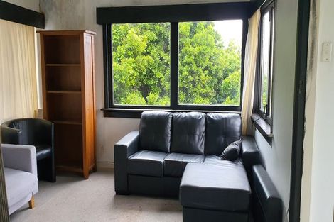 Photo of property in 78 Hankey Street, Mount Cook, Wellington, 6011