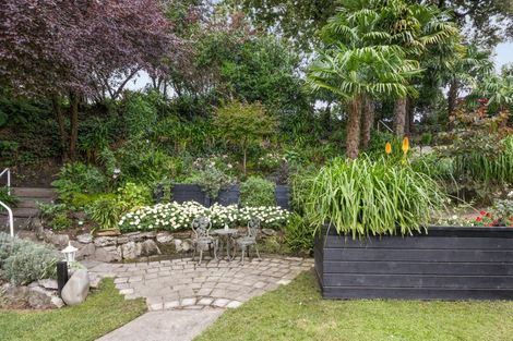 Photo of property in 6 Ormond Road, Hospital Hill, Napier, 4110