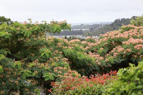 Photo of property in 114 Cambridge Road, Bethlehem, Tauranga, 3110