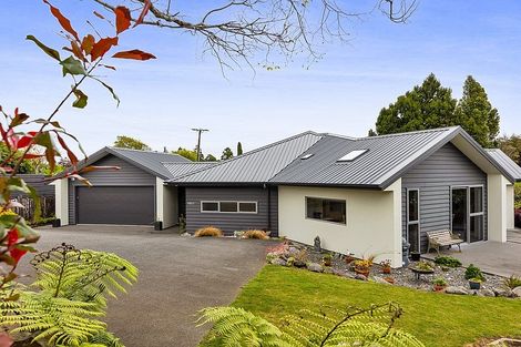 Photo of property in 184b Seaview Road, Westown, New Plymouth, 4310