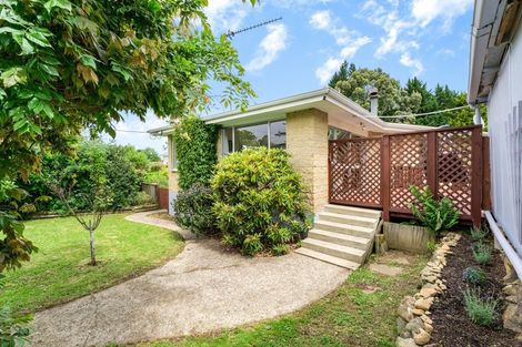 Photo of property in 99 Hall Road, Sawyers Bay, Port Chalmers, 9023