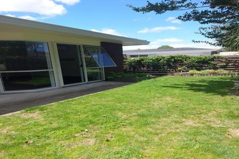 Photo of property in 56b Edgecumbe Road, Tauranga, 3110