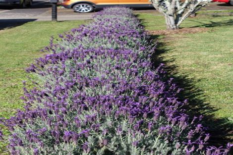 Photo of property in 21 Nicholas Avenue, Whitianga, 3510