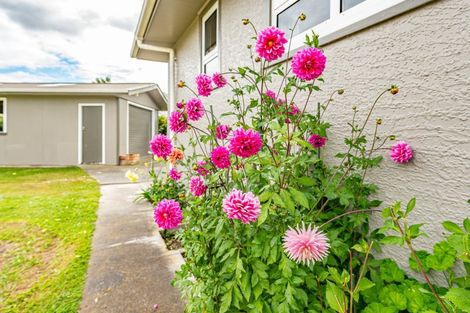 Photo of property in 14a White Street, Whanganui East, Whanganui, 4500