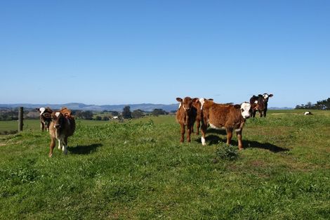 Photo of property in 247 Kaihau Road, Karioitahi, Waiuku, 2683