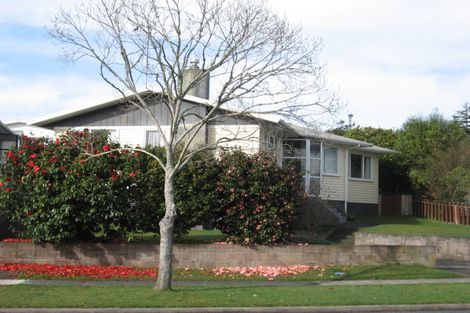 Photo of property in 17 Manapouri Street, Tikipunga, Whangarei, 0112