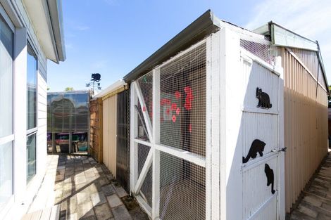 Photo of property in 24 Mill Road, Clive, 4102