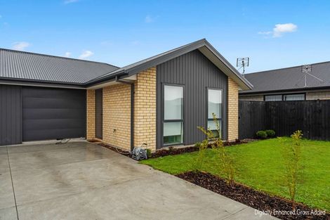 Photo of property in 41 Waikirikiri Avenue, Lincoln, 7608