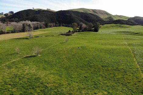 Photo of property in 850 Te Kopia Road, Waikite Valley, 3077