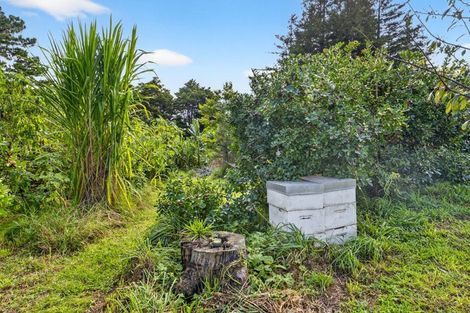 Photo of property in 263a Raepare Creek Lane, Kaiwaka, 0573