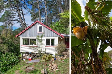 Photo of property in 294 Tapu Coroglen Road, Tapu, Thames, 3575