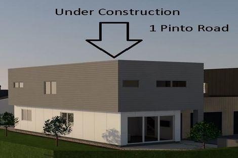 Photo of property in 1 Pinto Road, Pukekohe, 2120